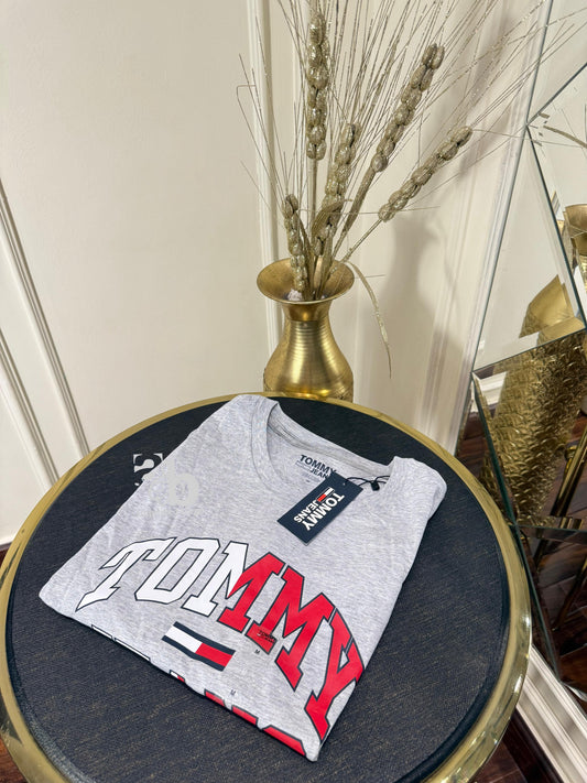Tommy Hilfiger Gray T Shirt For Men